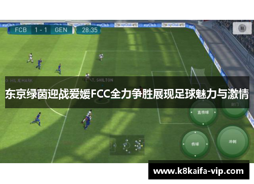 东京绿茵迎战爱媛FCC全力争胜展现足球魅力与激情